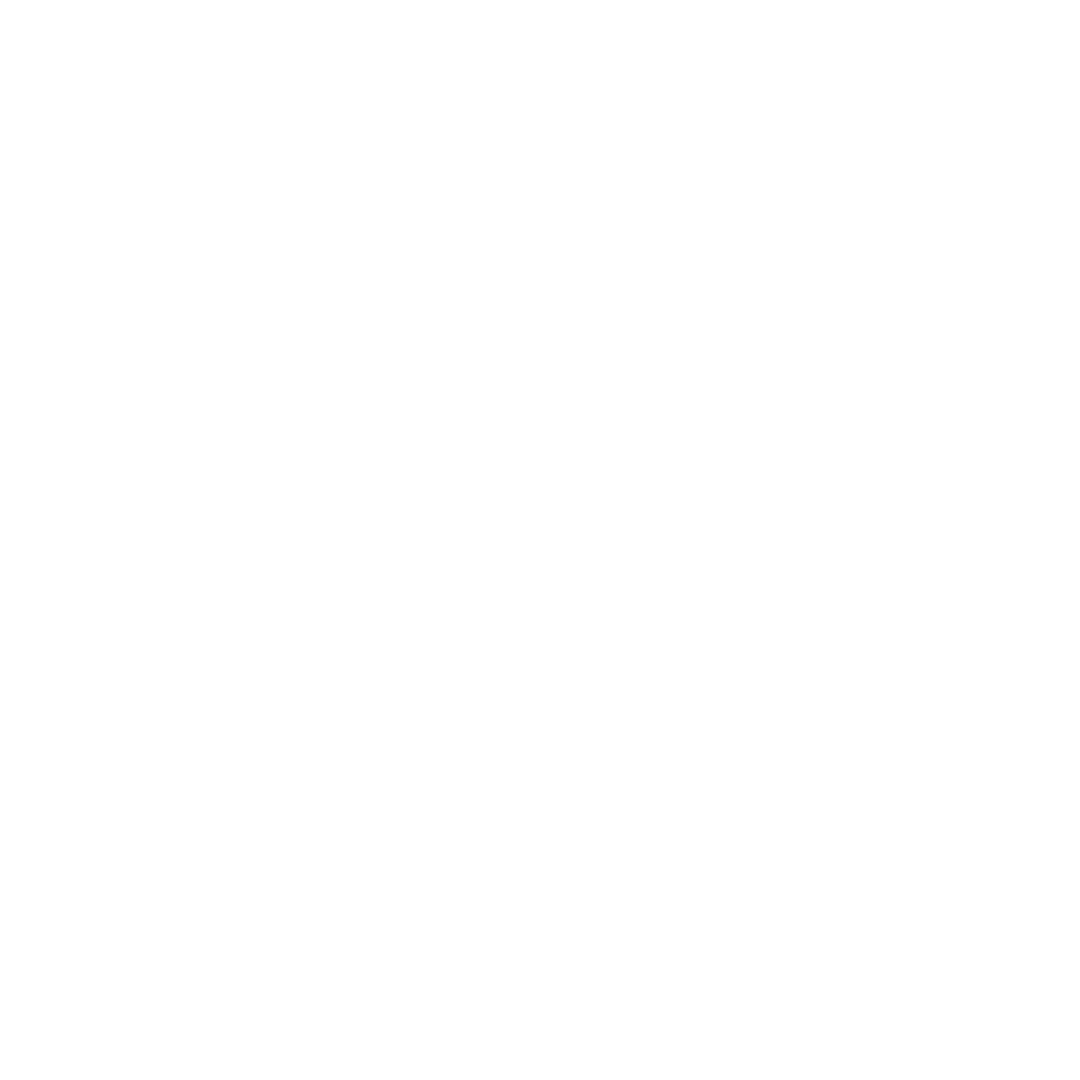 Certified digital champion