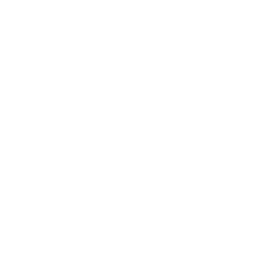Youtube champion